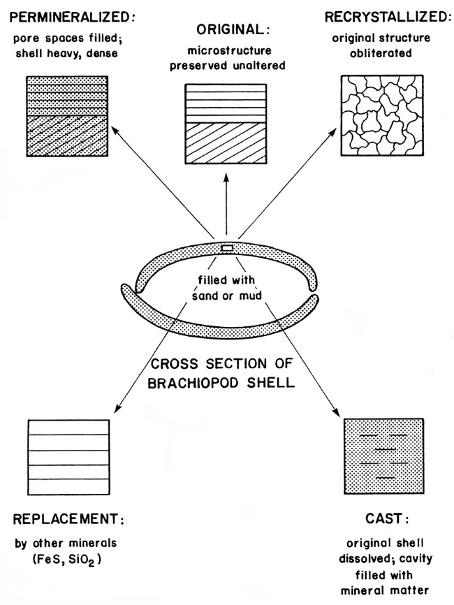 Cast and mould