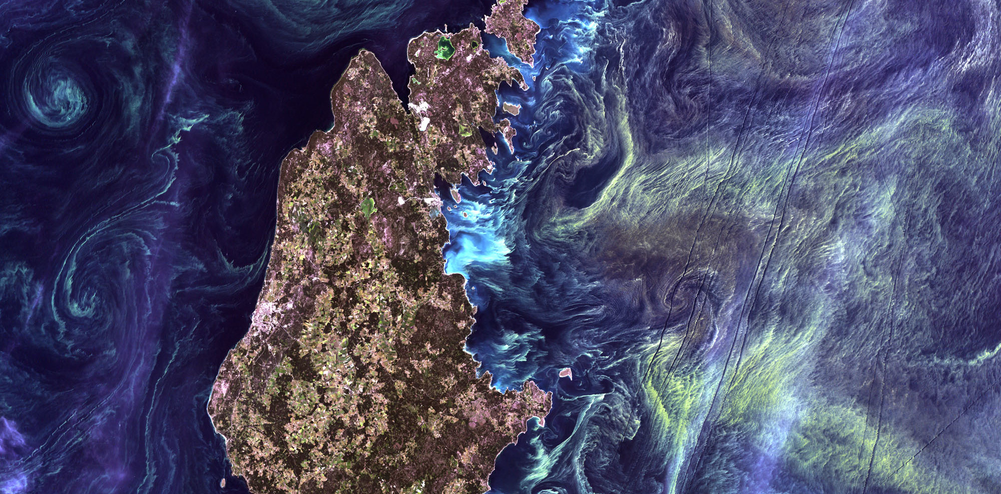 Phytoplankton blooms swirl around the magnificant Silurian rocks of Gotland