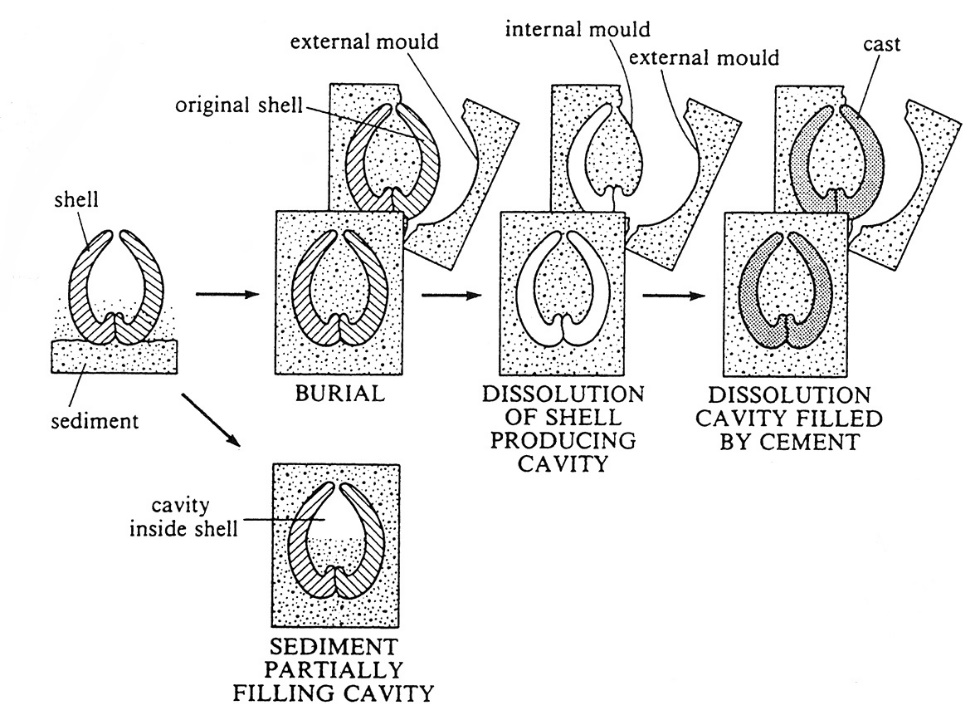 Cast and mould