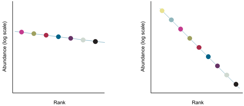 Abundance counts from a fossil assemblage